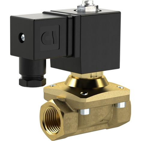 Riegler 2/2 MV, NO, MS, G38, DN13, PN 0-12, NBR, zwangsg., 230V AC