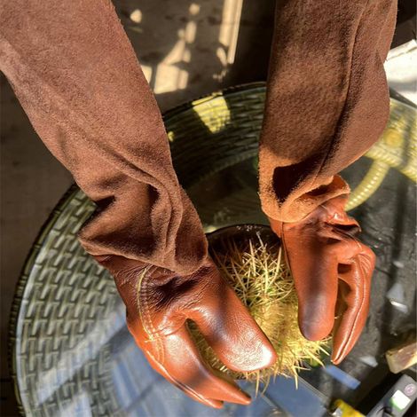 (L) Gants de jardinage 1 paire, gants anti-épines de taille de rose, gants en peau de mouton en peau de porc Gants floraux (1/5)