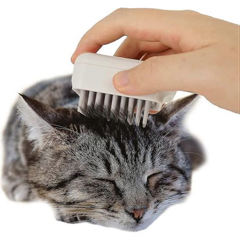 Peigne de massage multi-rangées pour chat et chaton, idéal comme cadeau pour animaux de compagnie. (1/5)