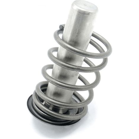 Kärcher – Piston pour nettoyeur haute pression – Accessoire d'origine – Ajustement précis – Construction robuste pour longue durée de vie