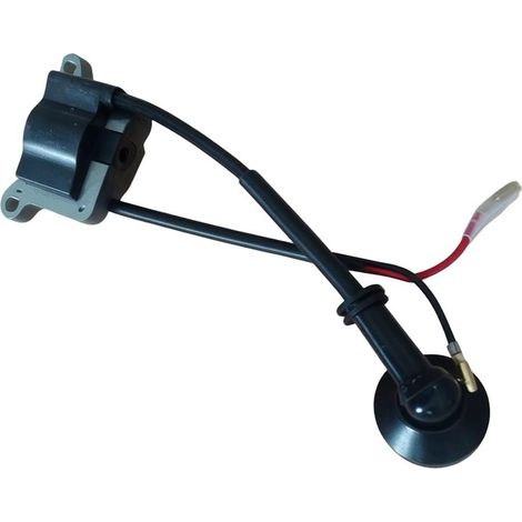 Module d'allumage Haute Tension pour Moteur 44-5 (1/5)