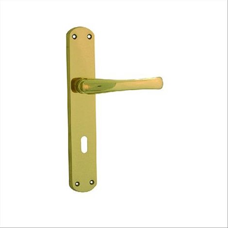 Maniglia "Capri" con Placca in Ottone e Finitura Lucida ed Elegante -Q 8 x 70