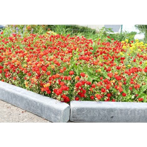 Bordure Ardoise Patinée XL 50 cm - Pack 20 pièces - 10 mètres