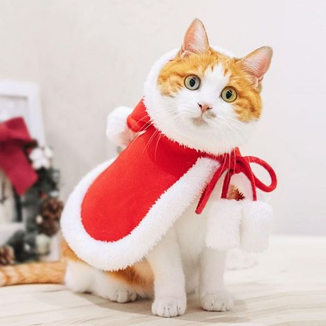 Deguisement de Noël pour Chien Chat, Cape Accessoire Tenue Costume de Noel Manteau pour Animal de Compagnie (1/5)