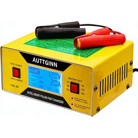 Chargeur de batterie de voiture 6/8/12/14/16/24 V, 0 à 10 A, intelligent, réglable, avec serre-câbles, maintien de la batterie pour golf, automobile, RV, 8 V (1/5)