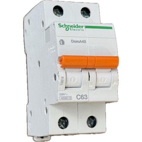 Schneider Electric – Disjoncteur bipolaire 63A 2P courbe C 4.5kA 230V – Bornes décalées à vis – Protection électrique domestique (1/4)
