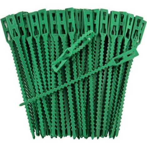 Attaches ou liens pour plante - Lot de 100 - Longueur 13 cm - Vert