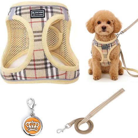 Harnais pour Petit Chien avec Laisse, Taille XL pour Tour de Poitrine 50–56 cm et Tour de Cou 39–43 cm, Harnais Chiot Respirant et réglable, Design Step-in réfléchissant pour Promenade (1/5)