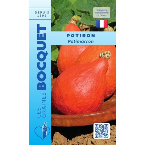 Potiron Potimarron - 5g