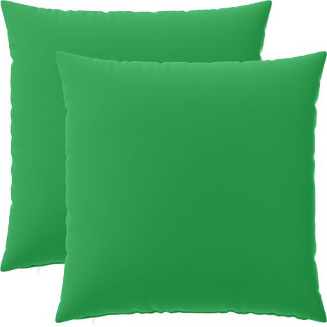 Coussin décoratif avec housse HEERLEN 2 pièces Vert Polyester - vidaXL