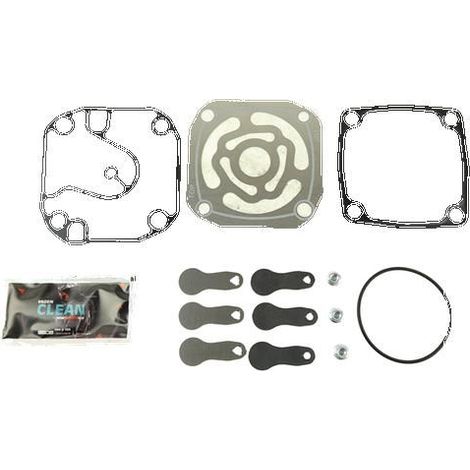 Kit de reparación, juntas y álabes de compresor Mercedes  100mm, 377cc