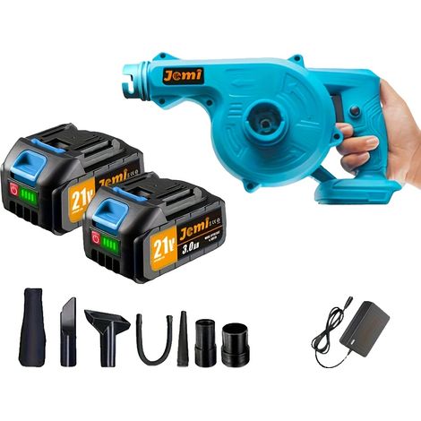 Souffleur de feuilles sans fil, fonctionnalité 2-en-1, design ergonomique, 2x Batterie (1/2)
