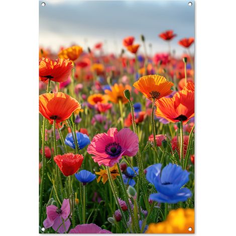 Balcony Privacy Banner Flowers - Poppies - Colorful - Nature 80x120 cm (1/5)