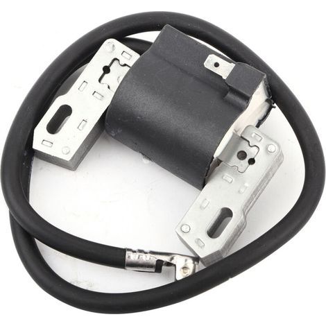 Bobina de encendido compatible con accesorios para cortacésped 398811, 395492 y 398265. (1/5)
