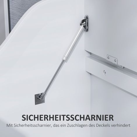 Coffre de rangement, boîte en bois avec couvercle, grand espace de stockage, design moderne, blanc (1/5)