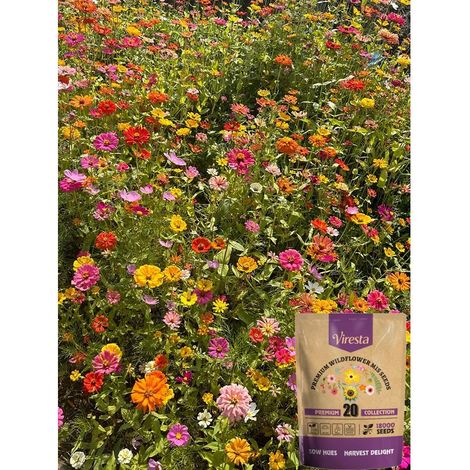Semences Fleurs Sauvages 20000 Graines 20 Types – Prairie Fleurie Jardin, Attire Abeilles et Papillons (1/5)