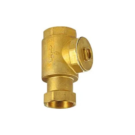 Clapet anti-retour - Clapet d'équerre pour pieux 1'' 1/4 de Centrocom