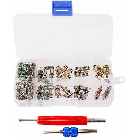 Lot de 102 pièces outil démonte soupape et cores de vanne climatisation auto R134a/R12 1/4'' 5/16''