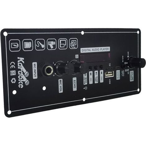 Carte Amplificateur Audio 15 W avec FM BT Audio Haut-Parleur Portable 5 V Carte Amplificateur de Puissance Karaoké Amplificateur MP3 (1/2)