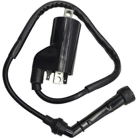 Bobines d'allumage pour motos 33410-01D00 et 33410-01D10 compatibles avec les modèles GS500, GS500E, GS500F, SV650 / SV650S 1989-2009 XO. (1/5)