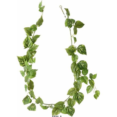 Guirlande de pothos artificiel Longueur 180 cm panaché (1/3)