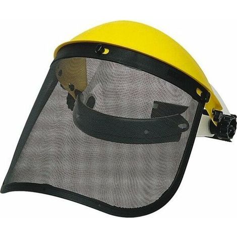 Kit Protection Visage - Visiere Grillagee Relevable