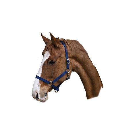 KERBL Cabezada Clásica Caballo Nylon, Azul, Talla 3 (1/2)