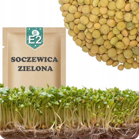 51Seed E02 Keimlinge Grüne Linsen 20 g