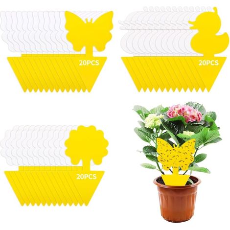 60pcs Pièges à Insectes,Insert Fly Trap Jaune Protection Végétale Autocollante,Anti Moucherons Interi,Attrape Mouche pour Cuisine (1/5)