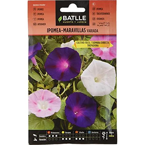 Semillas Batlle Ipomea-Maravillas trepadora vda. (1/4)
