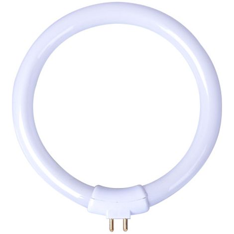 Ampoule à Tube Fluorescent Circulaire T4, Tube de lumière Circulaire T4 à Tube de Lampe Rond 11W avec 4 Broches (Universel) (1/5)