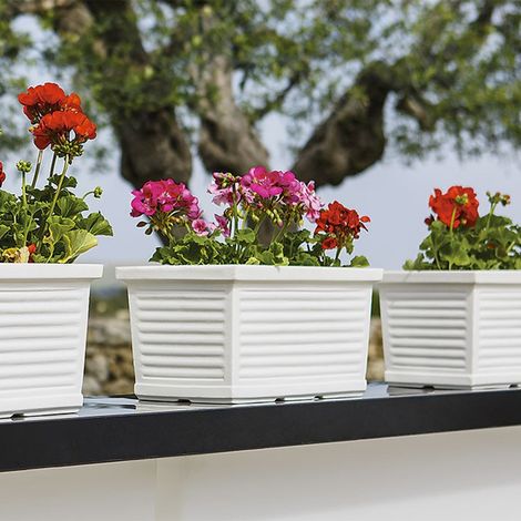 Balconiera in Polimero Monacis Millerighe Bianco cm 60 (60X22X20h) (1/4)