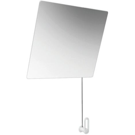 HEWI 801.01D100 98 Miroir basculant Série 801, L:600 H:540 (1/2)