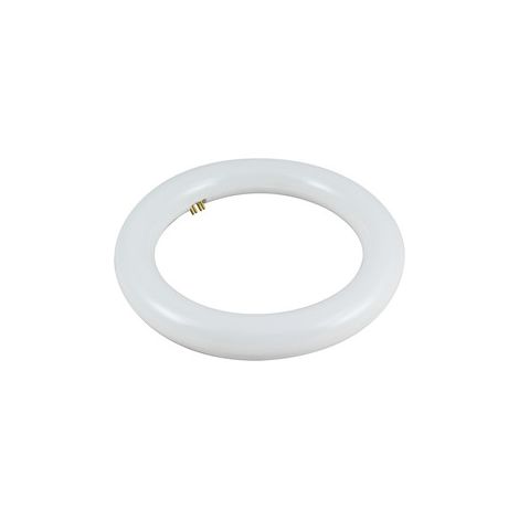 Tubo Led Circular T9 14w Luz 6400k 81.548/15/dia (1/2)