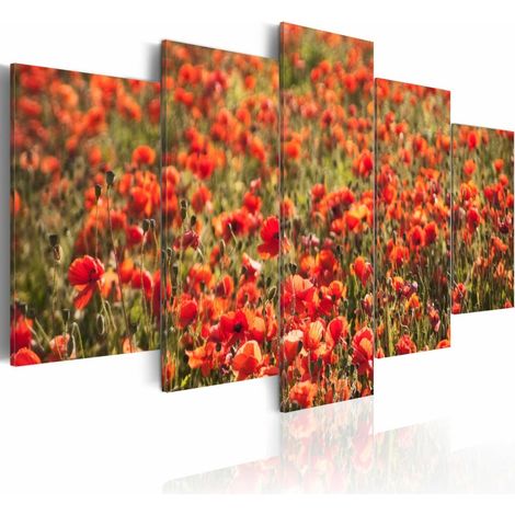 Tableau coquelicots rouges dans la prairie verte - 200 x 100 cm (1/4)