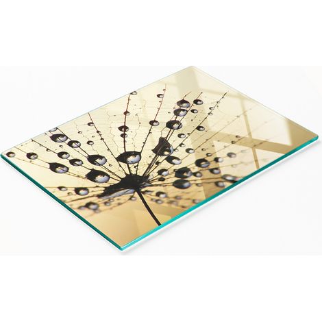 Tagliere da cucina in vetro temperato con decorazione a dente di leone, 80x52 cm. (1/5)