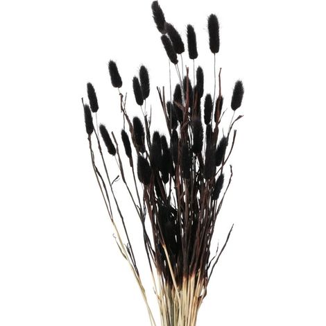 Deko-Zweige für Vase, getrocknet, 70 cm (1/3)