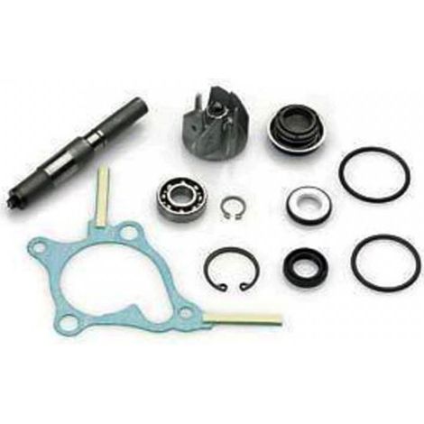 wasserpumpe one für roller honda 250 fes foresight neu
