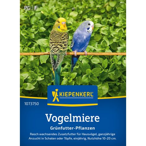 Kiepenkerl Rasensamen Vogelmiere Frischgrün-Futter für ca. 1 m² (1/2)