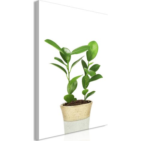 Tableau Imprimé "Plant in Pot" 40 x 60 cm (1/2)