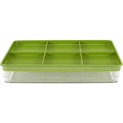 Plateau de Germination "Graines" 30cm Vert (1/5)