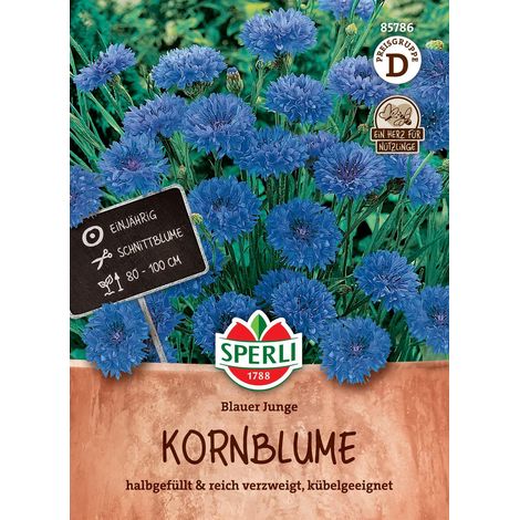 Sperli Kornblumenn Blauer Junge - Blumensamen (1/2)