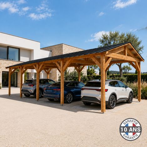 Carport bois douglas 40m² – Abri voiture extérieur 1 véhicule – Structure 2 pentes – Hauteur de passage 2,10m – Garantie 10 ans – Cpbf (1/5)