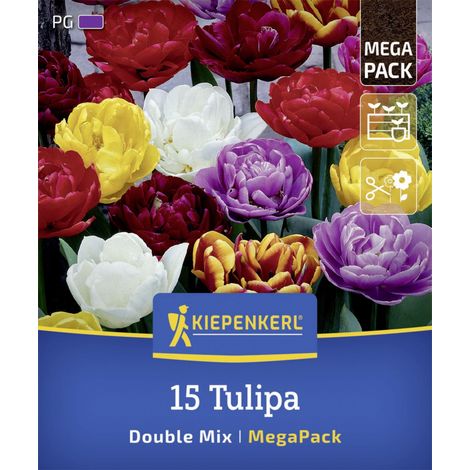 Kiepenkerl Herbstblumenzwiebelmischung Mega-Pack Gefüllte Tulpen 15 Stück (1/2)