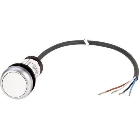 Bouton-poussoir plat Eaton C22-D-W-K10-P62 185673 blanc 1 pc(s) S270781 (1/4)