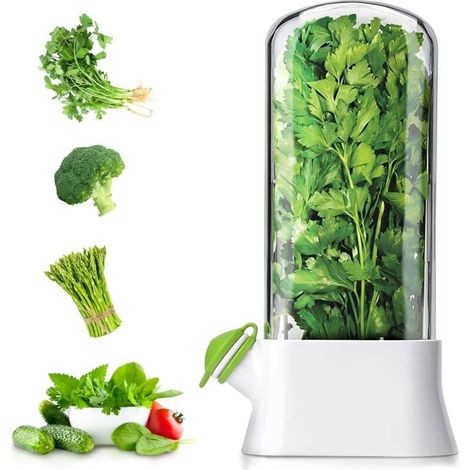 Conservateur d'herbes aromatiques pour réfrigérateur, récipient de conservation d'herbes fraîches, récipient pour asperges et coriandre, lavable au lave-vaisselle (1/5)