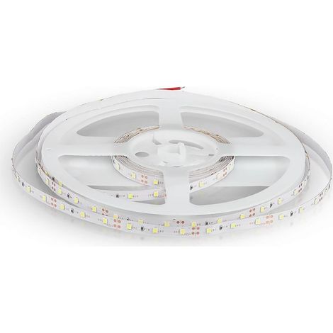 STRISCIA SMD3528 60 LED/M BIANCO FREDDO IP20 6000K                                                       - Luce FREDDA (1/5)