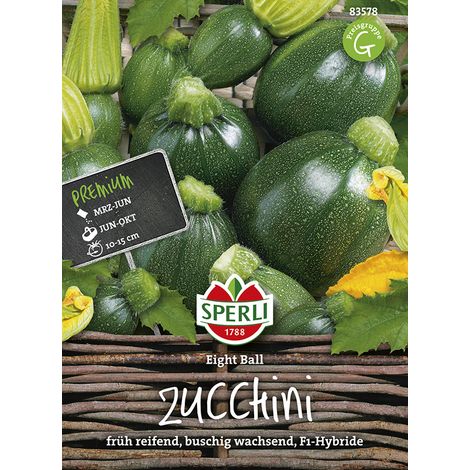 Sperli – Courgette ronde Eight Ball F1 – Graines de légumes, fruits vert foncé, hauteur env. 60 cm (1/2)