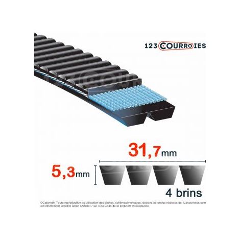 Courroie trapézoïdale polyuréthane Bando Banflex 4-7MS670