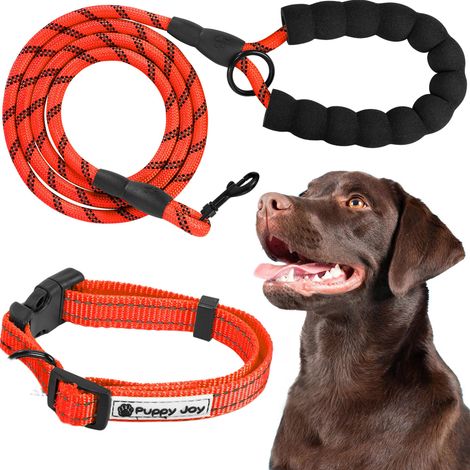 LEASH AND COLLAR TUTUMI PJ-035 RED